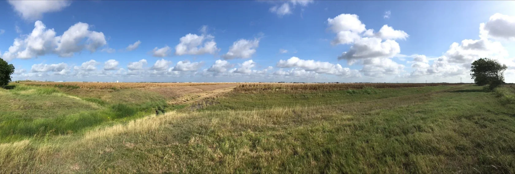 Panoramic view of a grassy field under a blue sky with scattered clouds; a lone tree stands on the left side.