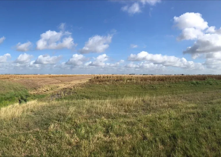 Panoramic view of a grassy field under a blue sky with scattered clouds; a lone tree stands on the left side.