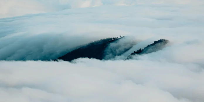 A hilltop covered with trees partially emerges through a dense layer of clouds under a clear sky.