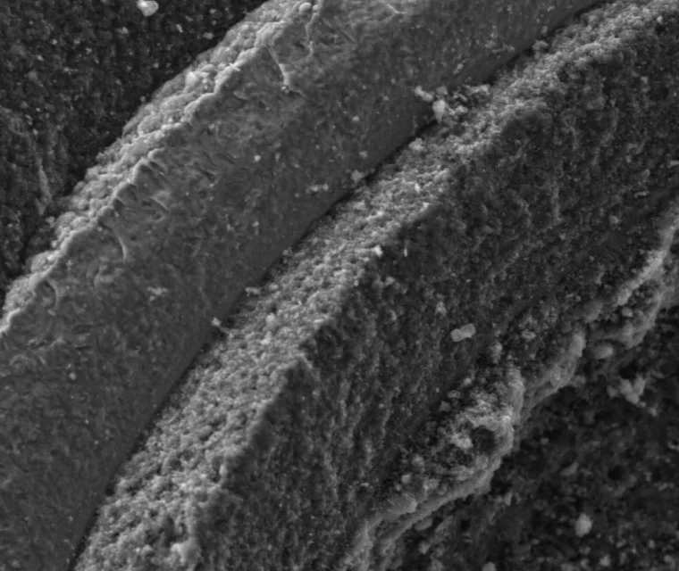 Black and white close-up of layered, rough-textured surfaces under a microscope, showing detailed, curved ridges and fine particulate matter.