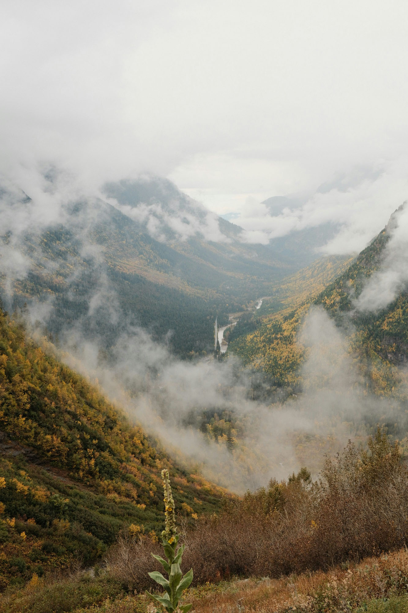 Foggy mountain valley with a winding river, autumn trees in shades of yellow and green, and clouds partially covering the landscape.